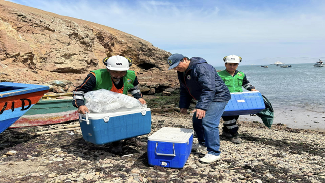IMARPE REALIZÓ MUESTREO DE SEDIMENTOS MARINOS Y ORGANISMOS BENTÓNICOS EN LA BAHÍA DE HUARMEY 