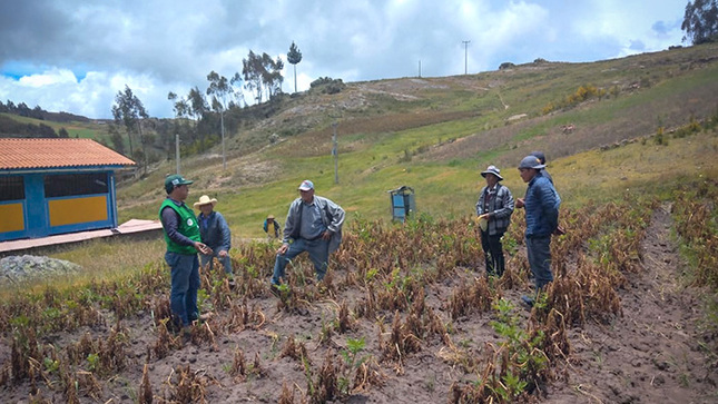 Fotos: Oficina de Imagen Institucional de la GRALL.