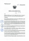 Vista preliminar de documento 043-2024-PLAN ANUAL DE ACTIVIDADES DEL SUB COMITE DE SEDE DOCENTE