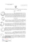 Vista preliminar de documento RD N°0031