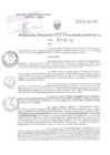 Vista preliminar de documento RD N°0032