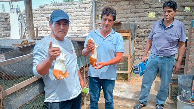 Fotos: Oficina de Imagen Institucional de la GRALL.