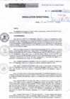 Vista preliminar de documento R.D.N.315-2022-INSN-DG