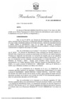 Vista preliminar de documento RD 035 (1)