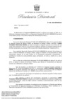 Vista preliminar de documento RD 036