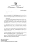 Vista preliminar de documento RD 039