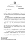 Vista preliminar de documento RD 44