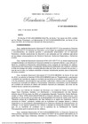 Vista preliminar de documento RD 47