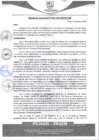 Vista preliminar de documento rgm84