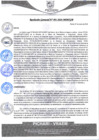 Vista preliminar de documento rgm91