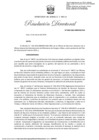Vista preliminar de documento RD 048