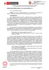 Vista preliminar de documento RESOLUCIÓN DIRECTORAL0119-2021 HR 63505-2021 (2)