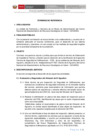Vista preliminar de documento TDR SERVICIO DE OBTENCION DEL ITSE ALMACEN EL AGUSTINO 2024
