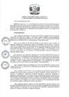 Vista preliminar de documento RDE Nº 046-2024