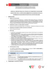 Vista preliminar de documento BASES CAS N° 050-2024-ANIN