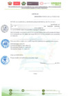 Vista preliminar de documento ANEXOS 276-2