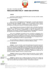 Vista preliminar de documento RD Nº D000031-2024-DE