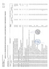Vista preliminar de documento Anexo N° 06 Aprobación de modificaciones al Cuadro Multianual de Necesidades N° 00000031