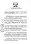 Vista preliminar de documento RDE Nº 051-2024