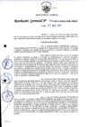Vista preliminar de documento RG-290