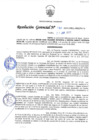 Vista preliminar de documento RG-155
