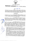 Vista preliminar de documento RG-196