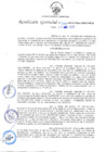 Vista preliminar de documento RG-209