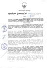 Vista preliminar de documento RG-220