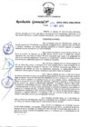 Vista preliminar de documento RG-272