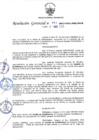 Vista preliminar de documento R.G.41