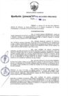 Vista preliminar de documento R.G.43