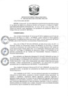Vista preliminar de documento RDE Nº 060-2024
