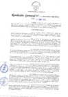 Vista preliminar de documento R.G.272
