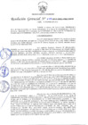 Vista preliminar de documento R.G.277