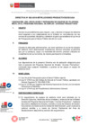 Vista preliminar de documento DIRECTIVA NA   003-2019 F  F   1 