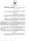 Vista preliminar de documento R.G._102