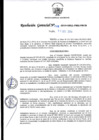 Vista preliminar de documento R.G._265