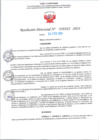 Vista preliminar de documento RD Nº000323 06-02-202420240304_11155724