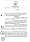 Vista preliminar de documento R.G._393