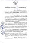 Vista preliminar de documento R.G._411