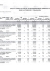 Vista preliminar de documento ANEXO 4 - CMN 2024