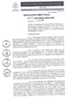 Vista preliminar de documento 2009-2023-DIRESA-OGES-AM/D