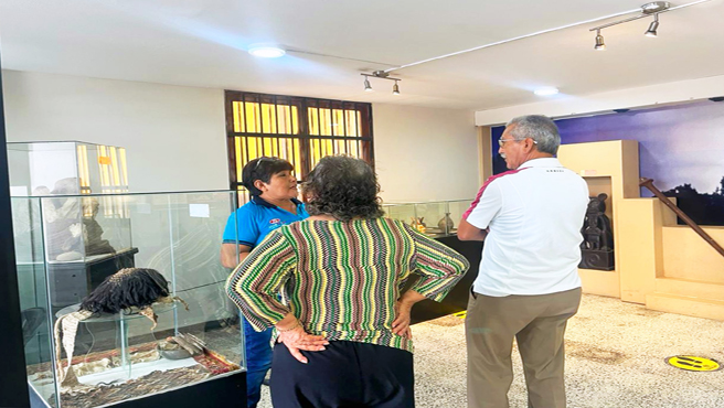 ¡Museos Abiertos!