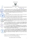 Vista preliminar de documento RES-172-2024-GR