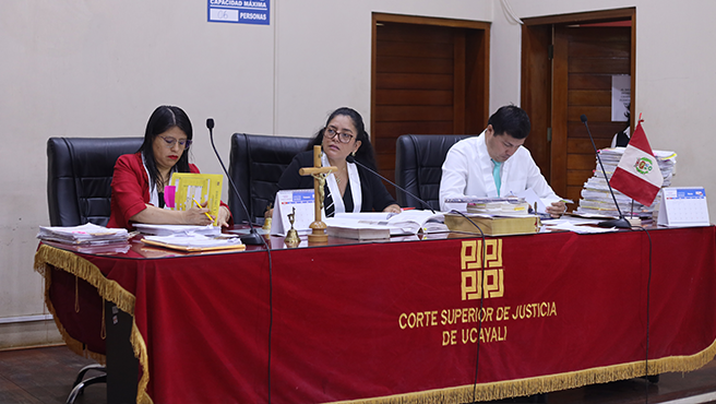 Juzgado Penal Colegiado Permanente