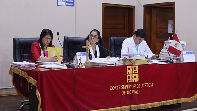 Juzgado Penal Colegiado Permanente