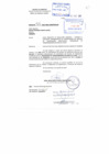 Vista preliminar de documento R.G._229-2017