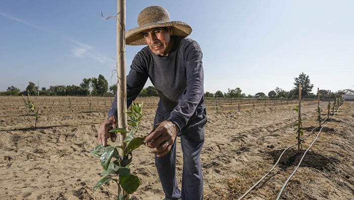 AGRO RURAL