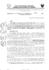 Vista preliminar de documento 026-2024-RG