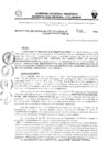 Vista preliminar de documento 027-2024-RG